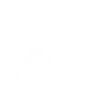 Slide_1
